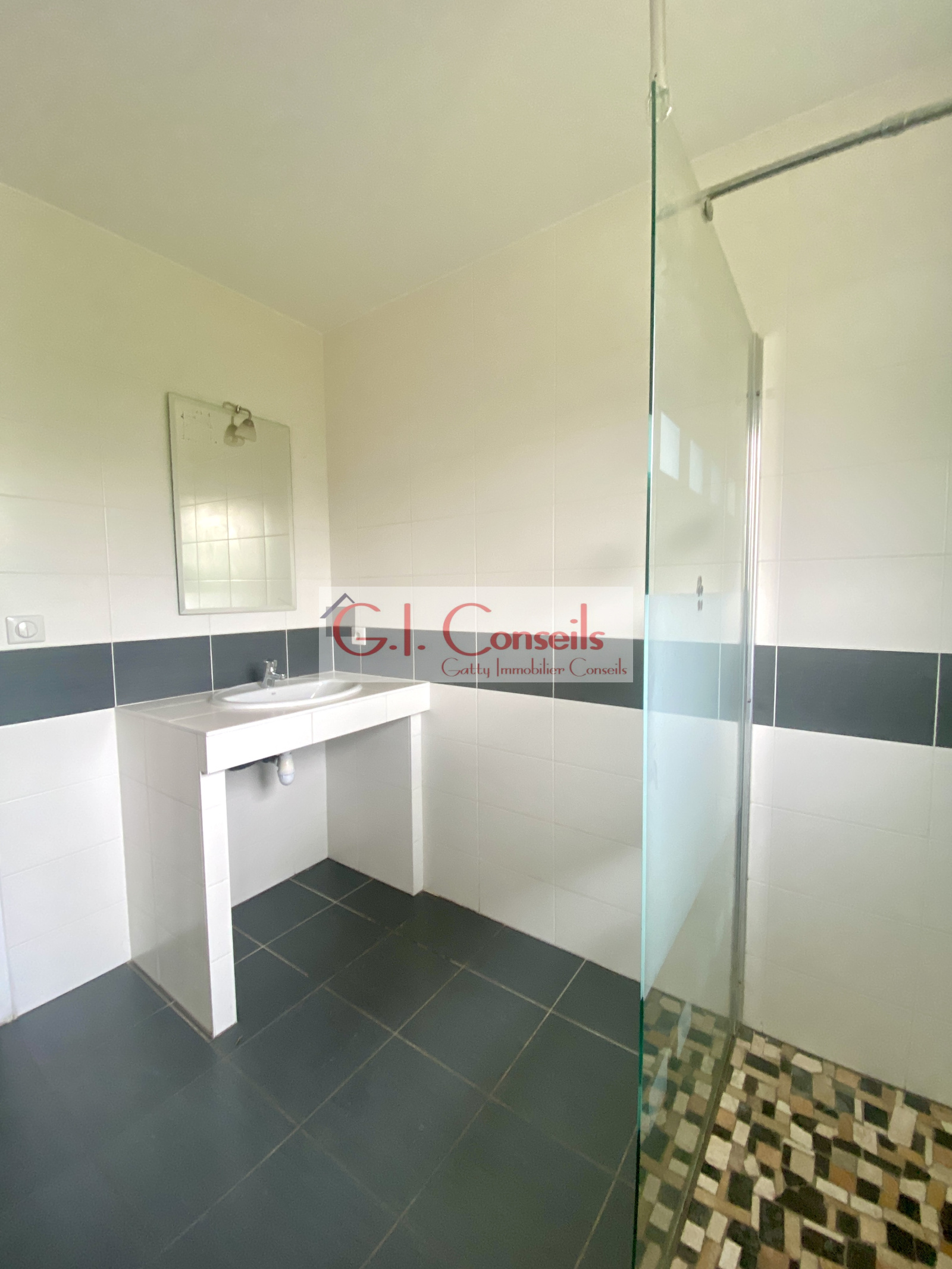 Image_, Maison, Andernos-les-Bains, ref :2997