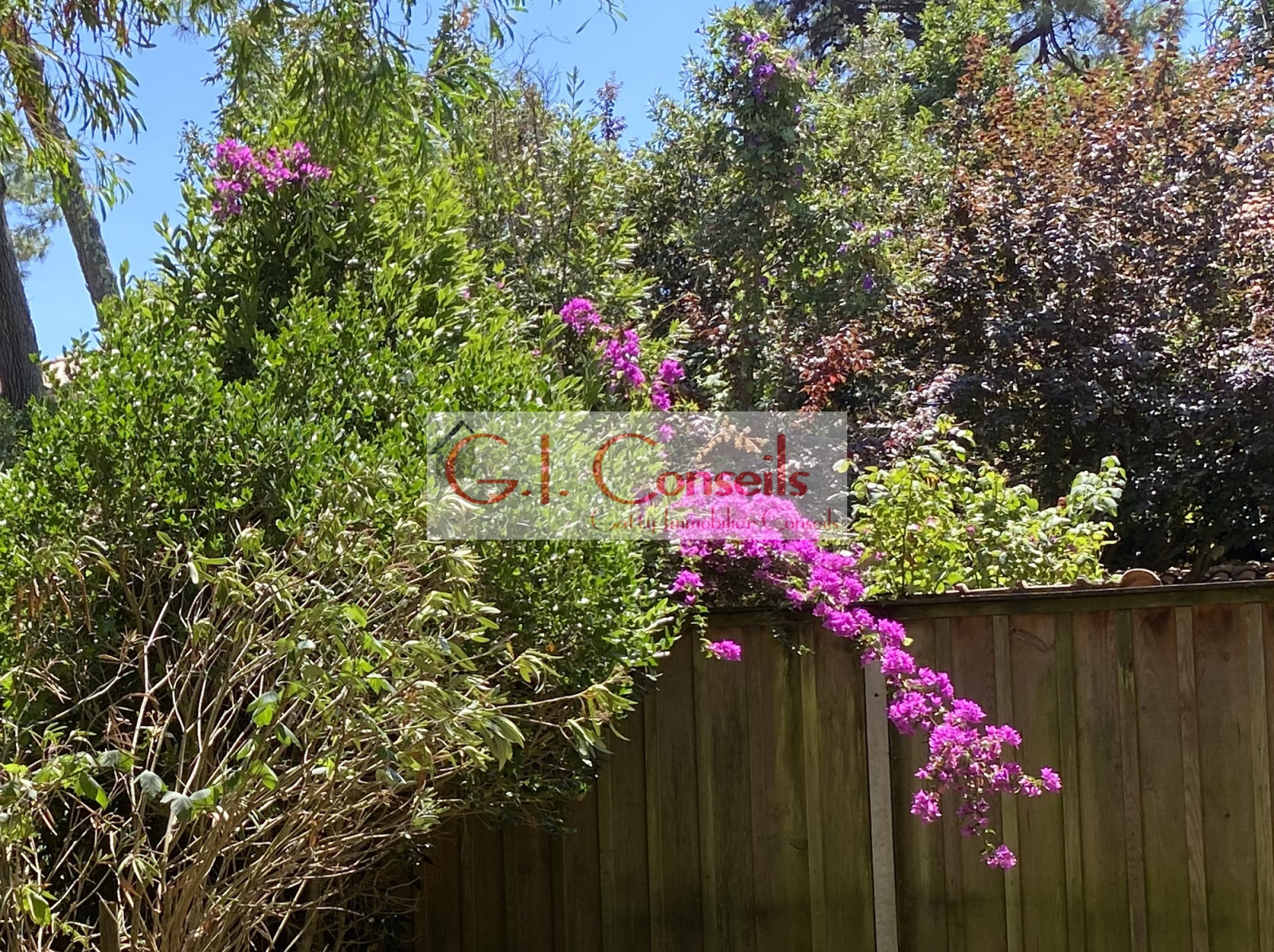 Image_, Villa, Lège-Cap-Ferret, ref :AB3006