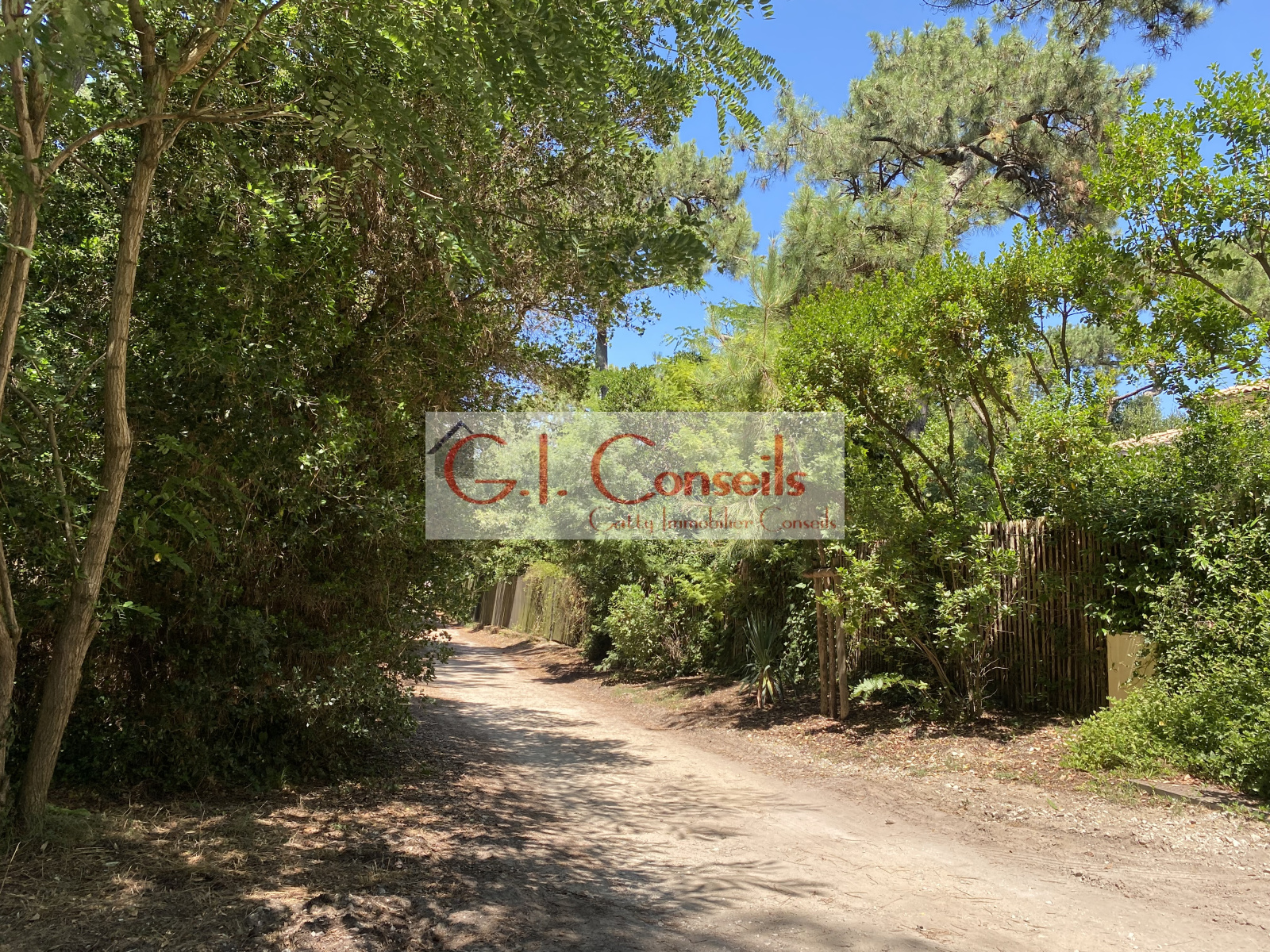 Image_, Villa, Lège-Cap-Ferret, ref :AB3006