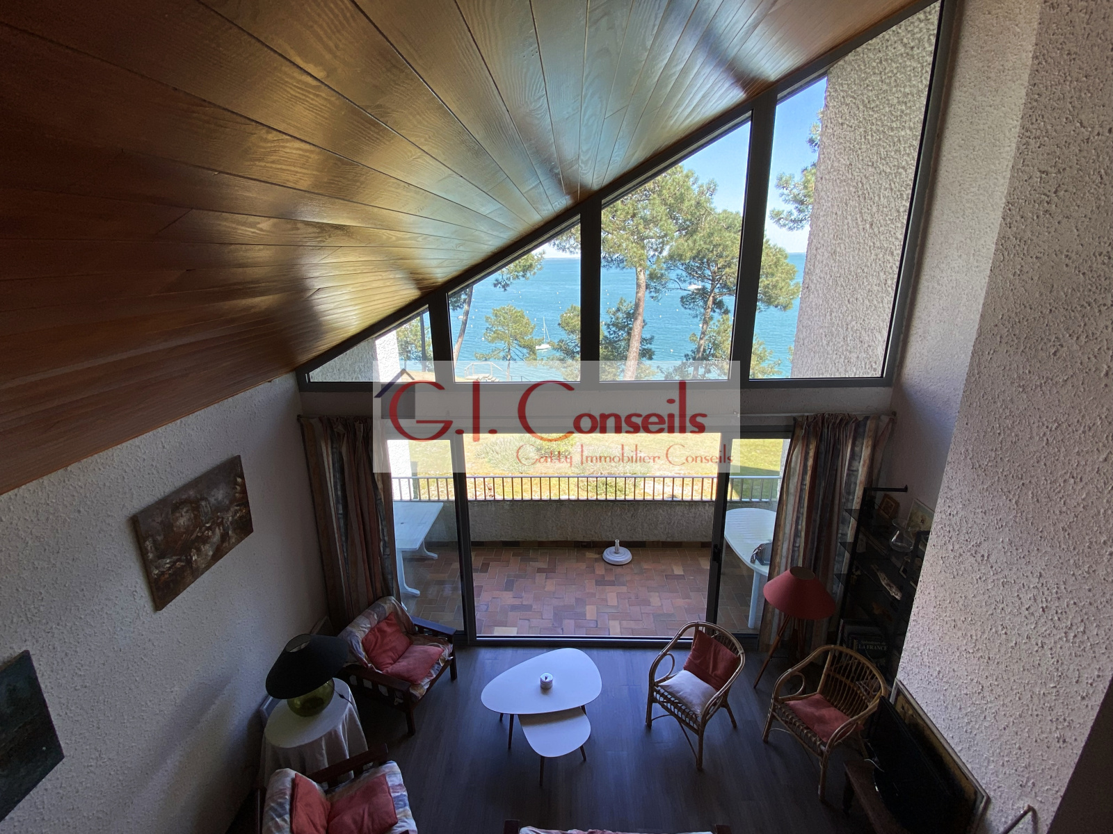 Image_, Duplex, Cap ferret, ref :AB2992