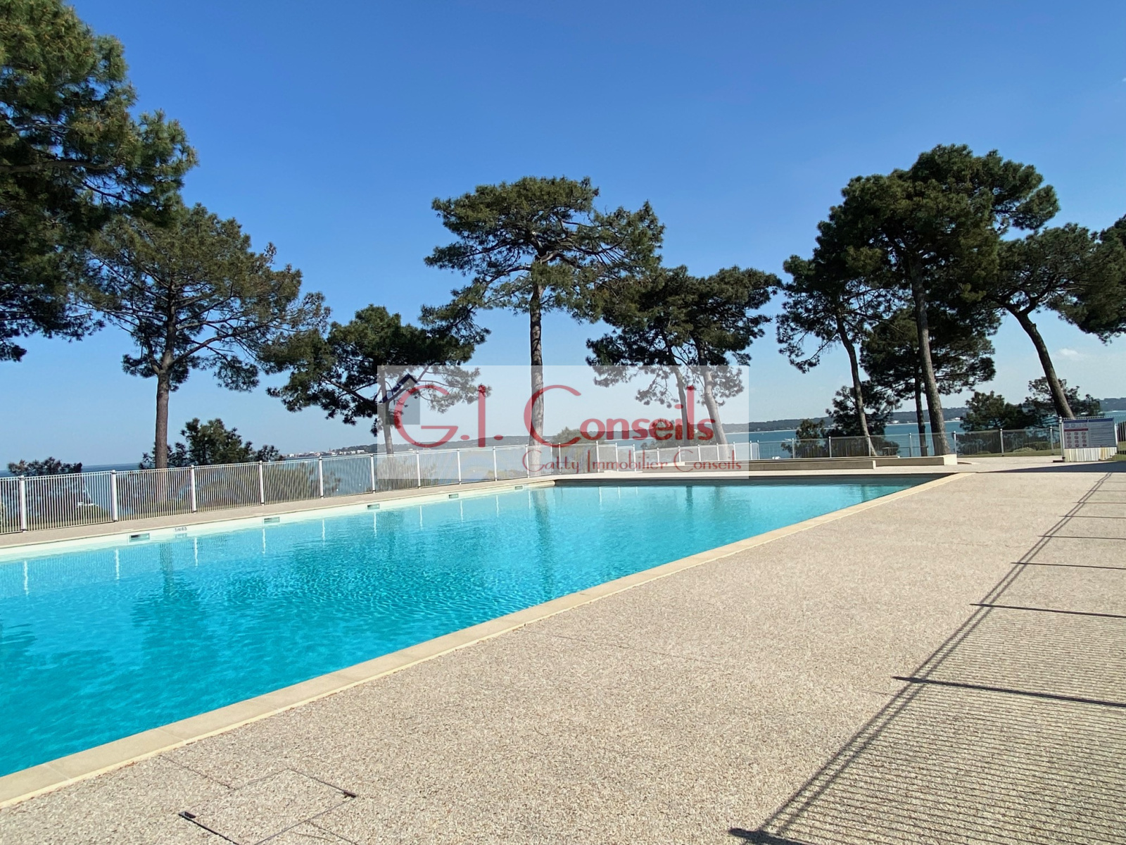 Image_, Duplex, Cap ferret, ref :AB2992
