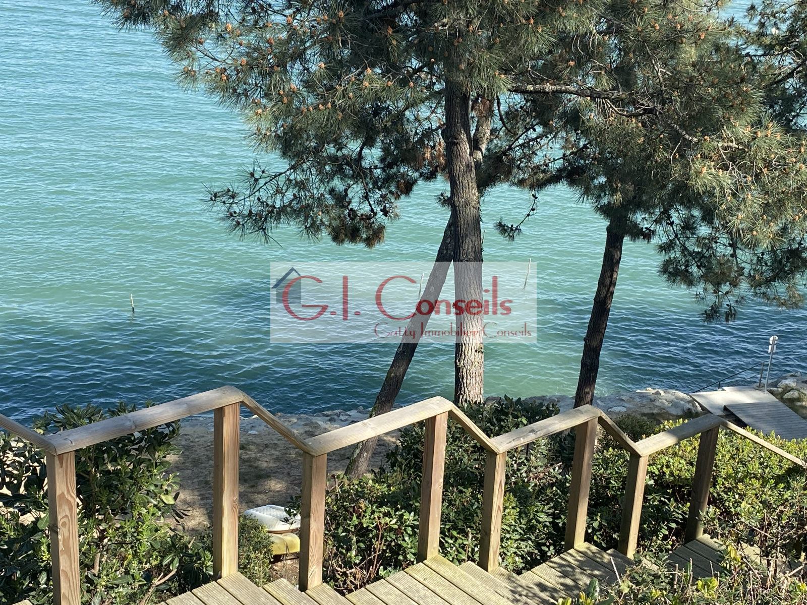 Image_, Duplex, Cap ferret, ref :AB2992