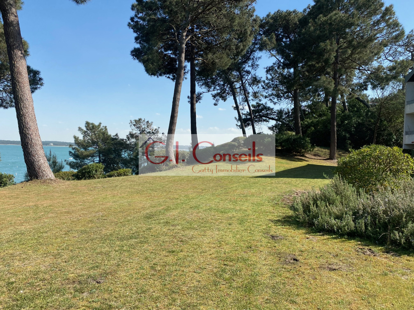Image_, Duplex, Cap ferret, ref :AB2992