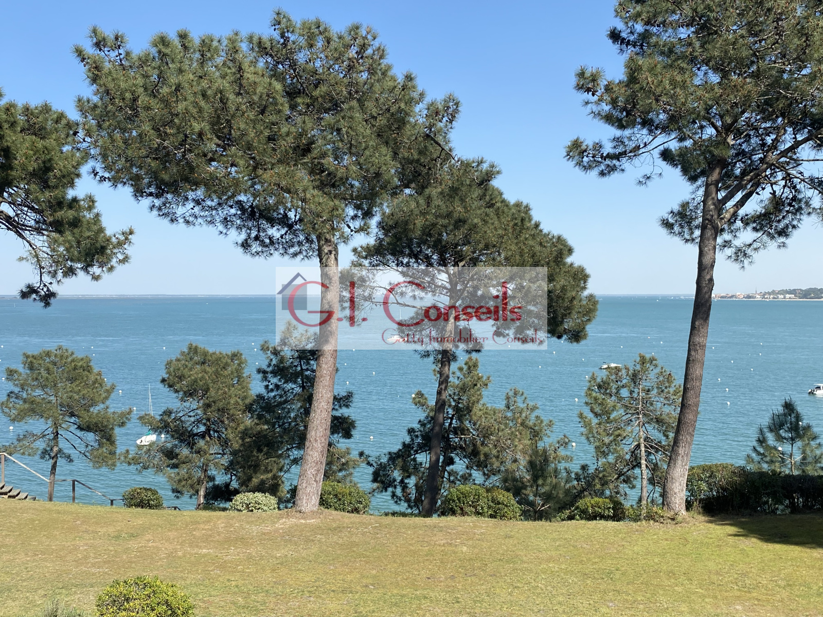 Image_, Duplex, Cap ferret, ref :AB2992