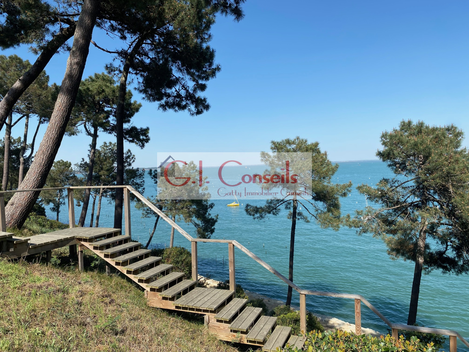 Image_, Duplex, Cap ferret, ref :AB2992