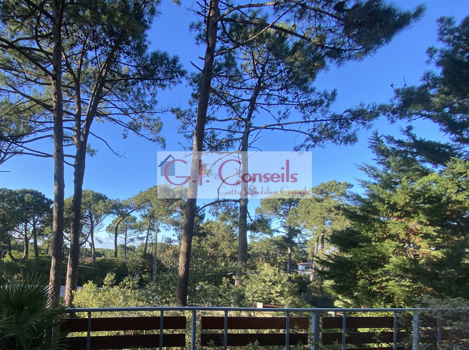 Image_, Maison, Lège-Cap-Ferret, ref :AB3043