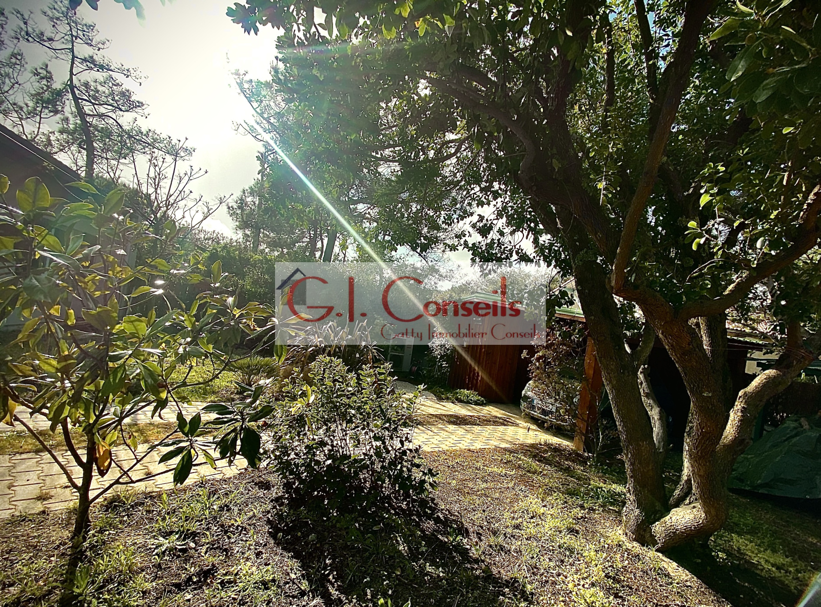 Image_, Villa, Cap ferret, ref :2833a