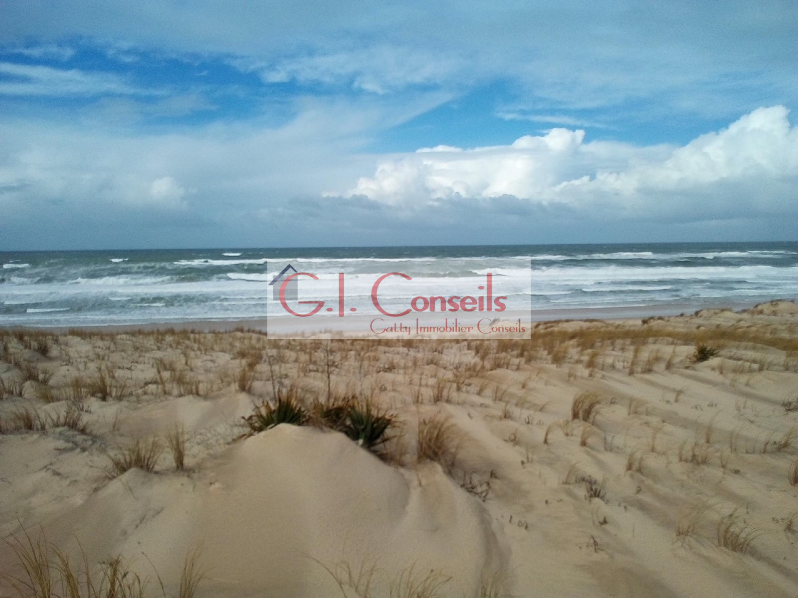 Image_, Terrain, Lège-Cap-Ferret, ref :AB2821
