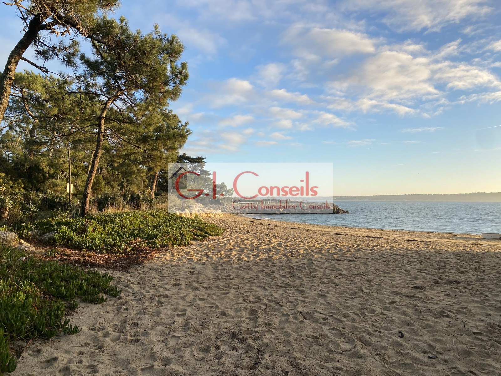 Image_, Maison, Lège-Cap-Ferret, ref :AB3071