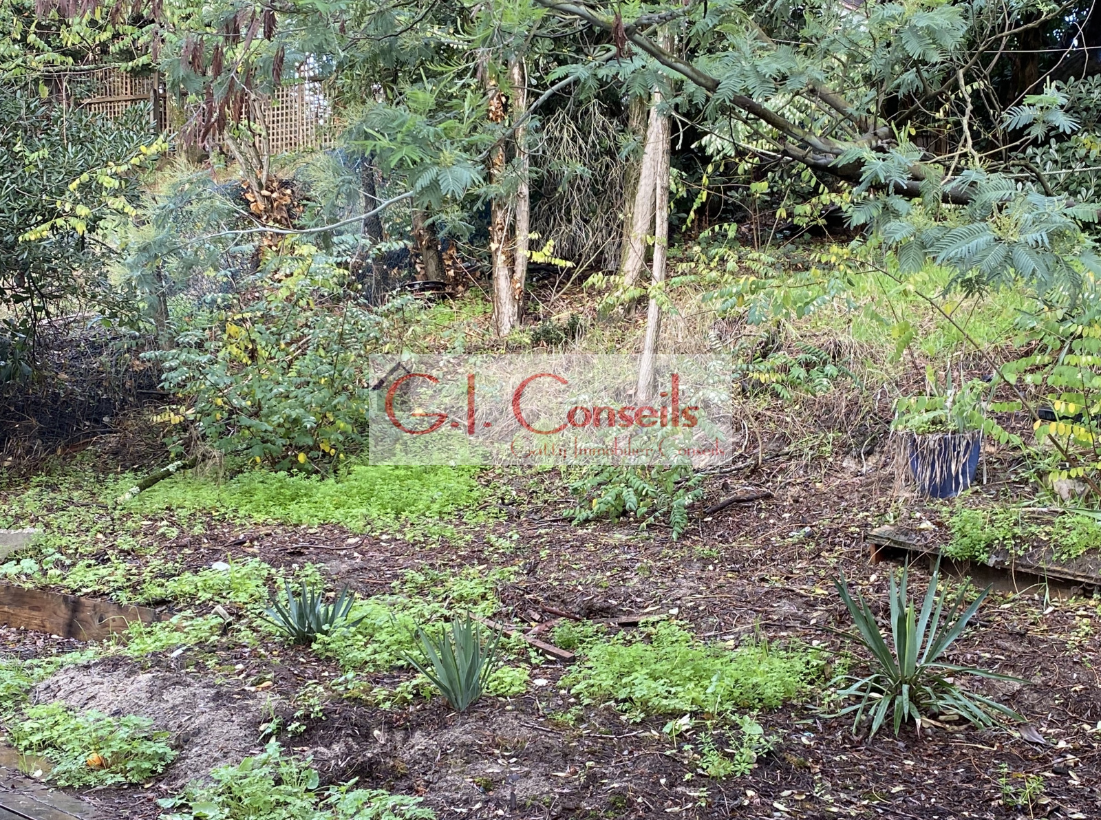 Image_, Maison, Lège-Cap-Ferret, ref :AB3032