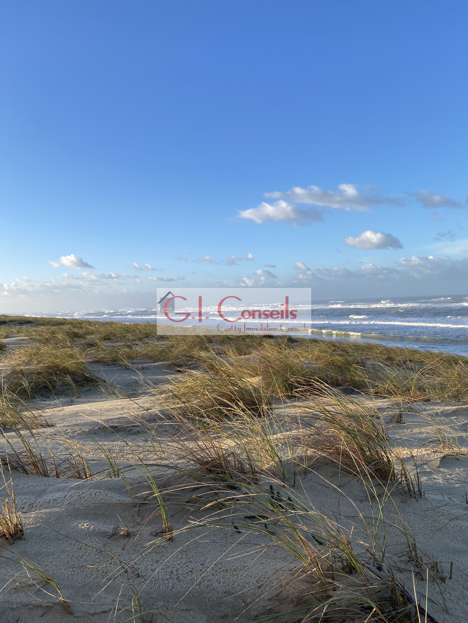 Image_, Propriete, Lège-Cap-Ferret, ref :AB3031