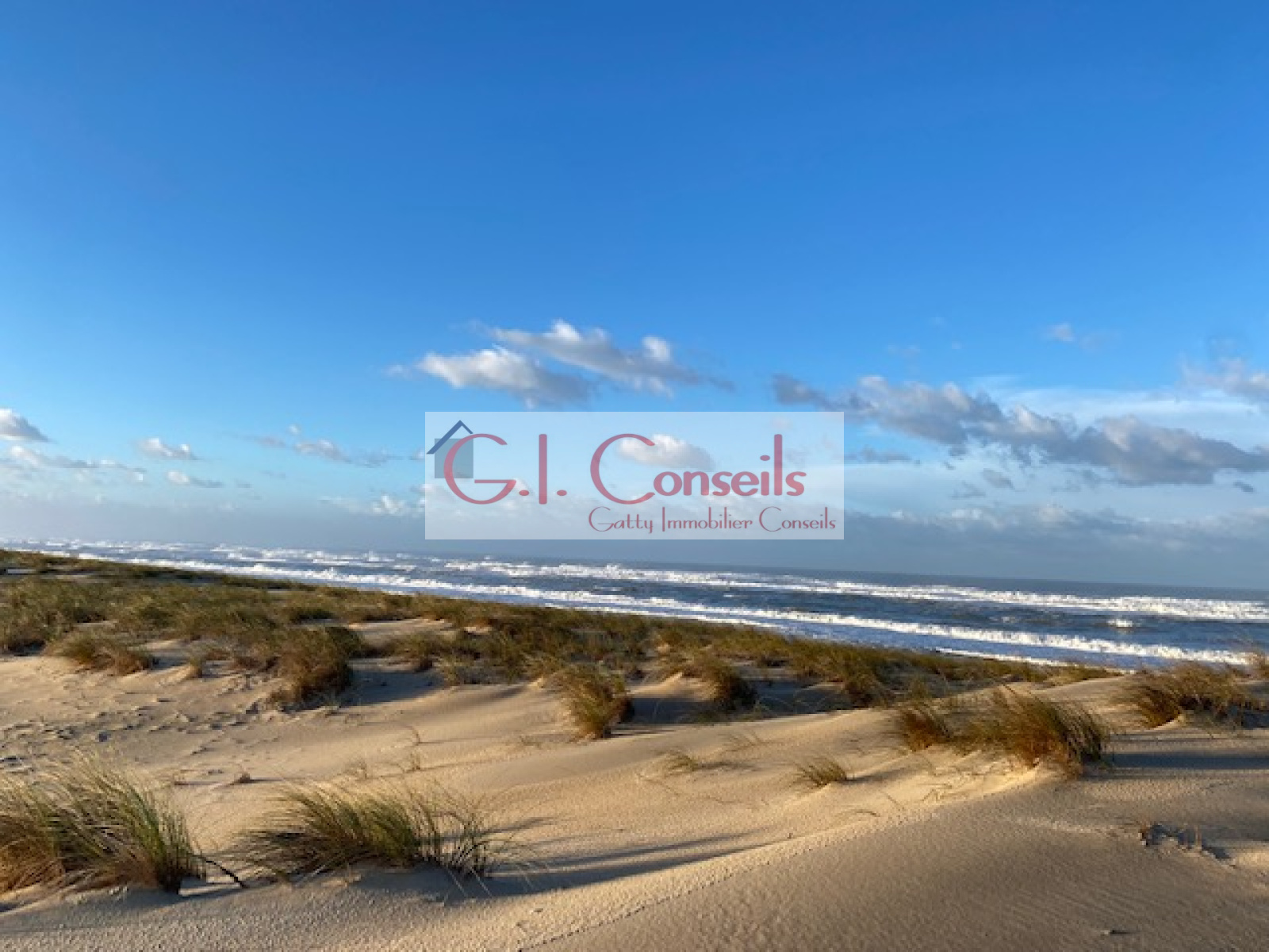 Image_, Villa, Lège-Cap-Ferret, ref :AB3053