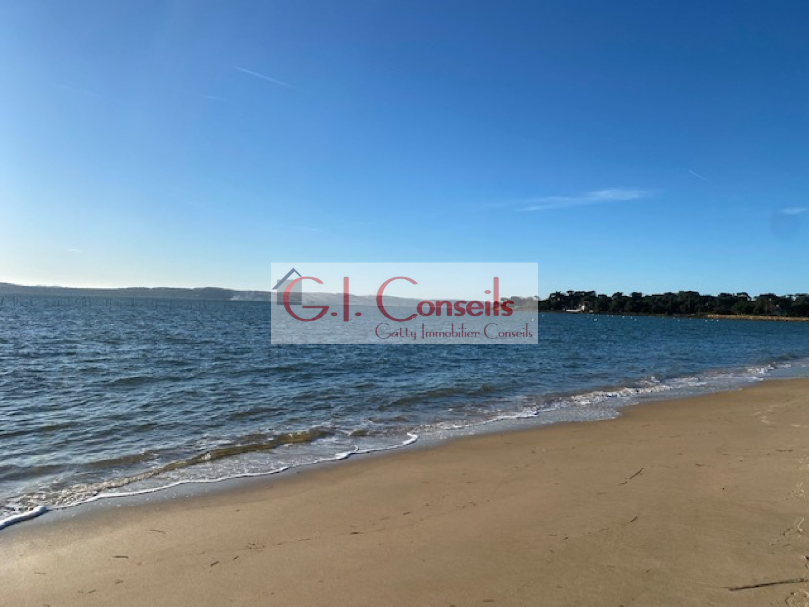 Image_, Villa, Lège-Cap-Ferret, ref :AB3053