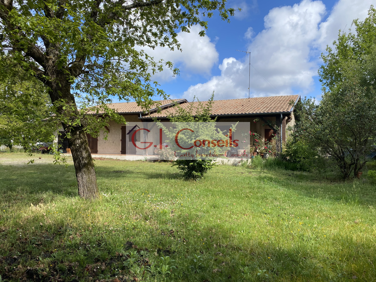 Image_, Maison, Arès, ref :AB2982