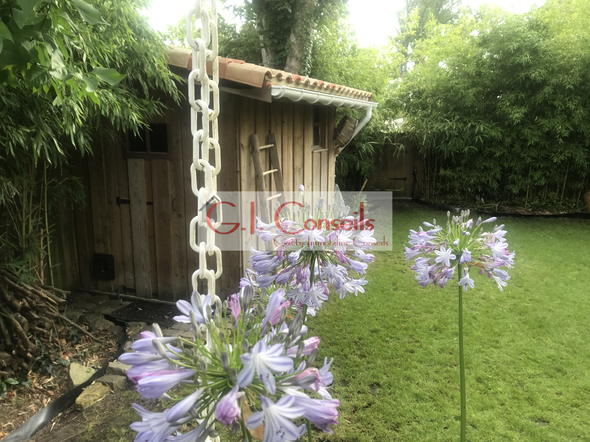 Agence immobilière de Gatty Immobilier Conseils