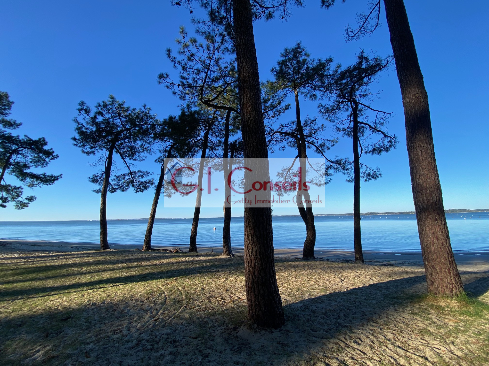 Agence immobilière de Gatty Immobilier Conseils